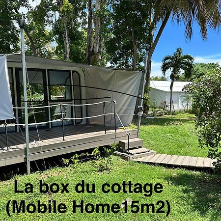 Le Cottage De Castaing Sur Plage Privee Sainte-Anne  Ngoại thất bức ảnh