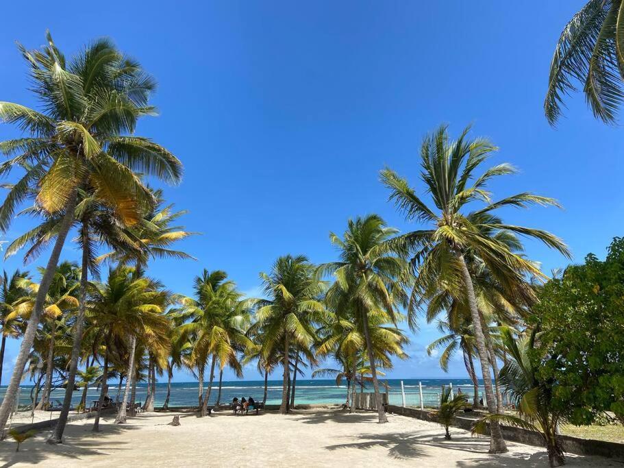 Le Cottage De Castaing Sur Plage Privee Sainte-Anne  Ngoại thất bức ảnh