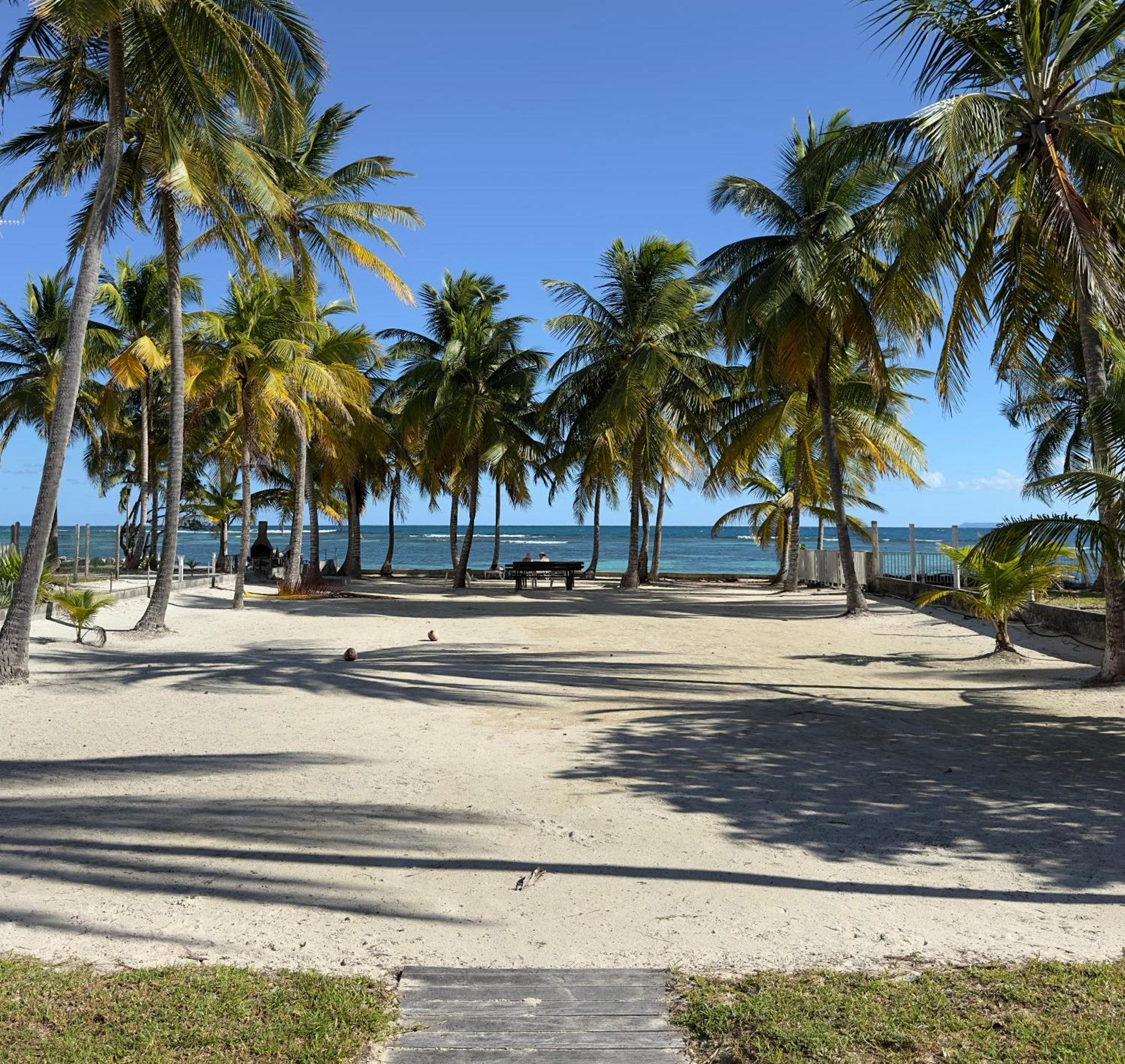 Le Cottage De Castaing Sur Plage Privee Sainte-Anne  Ngoại thất bức ảnh