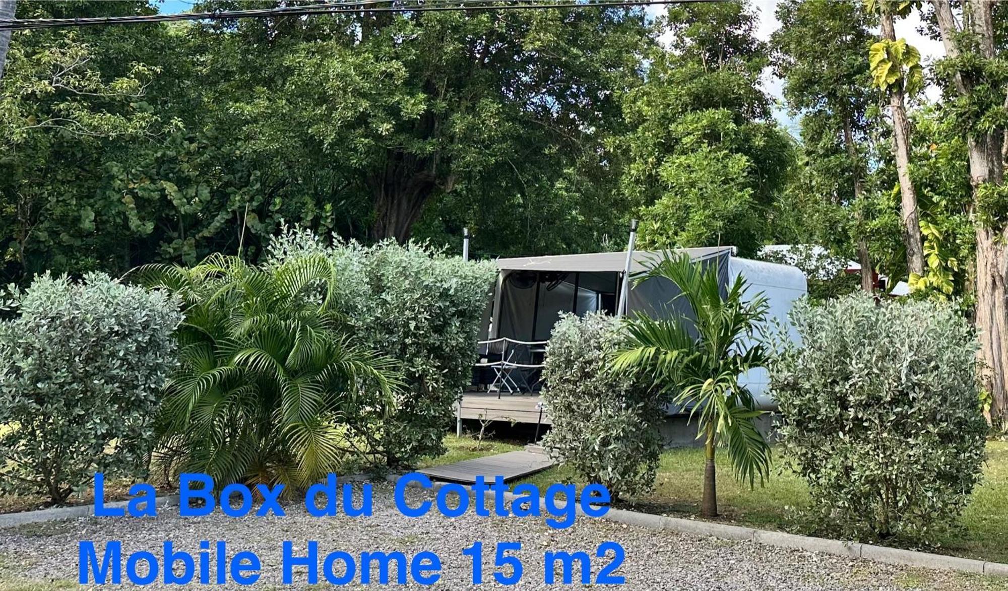 Le Cottage De Castaing Sur Plage Privee Sainte-Anne  Ngoại thất bức ảnh